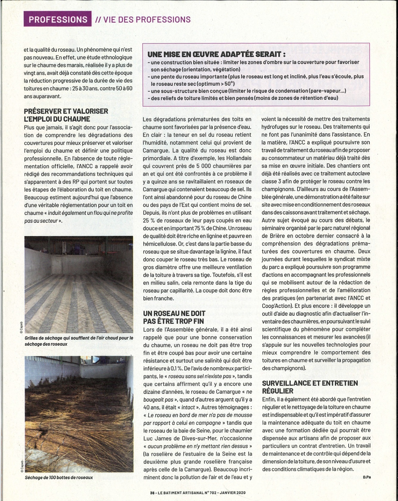 Assemblée générale des couvreurs chaumiers — page 36 Page 36 du Bâtiment Artisanal : suite de l’article sur le roseau et l’entretien des couvertures en chaume.