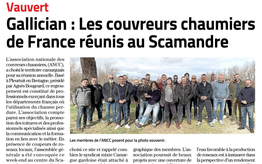 Les couvreurs chaumiers de France réunis en Camargue